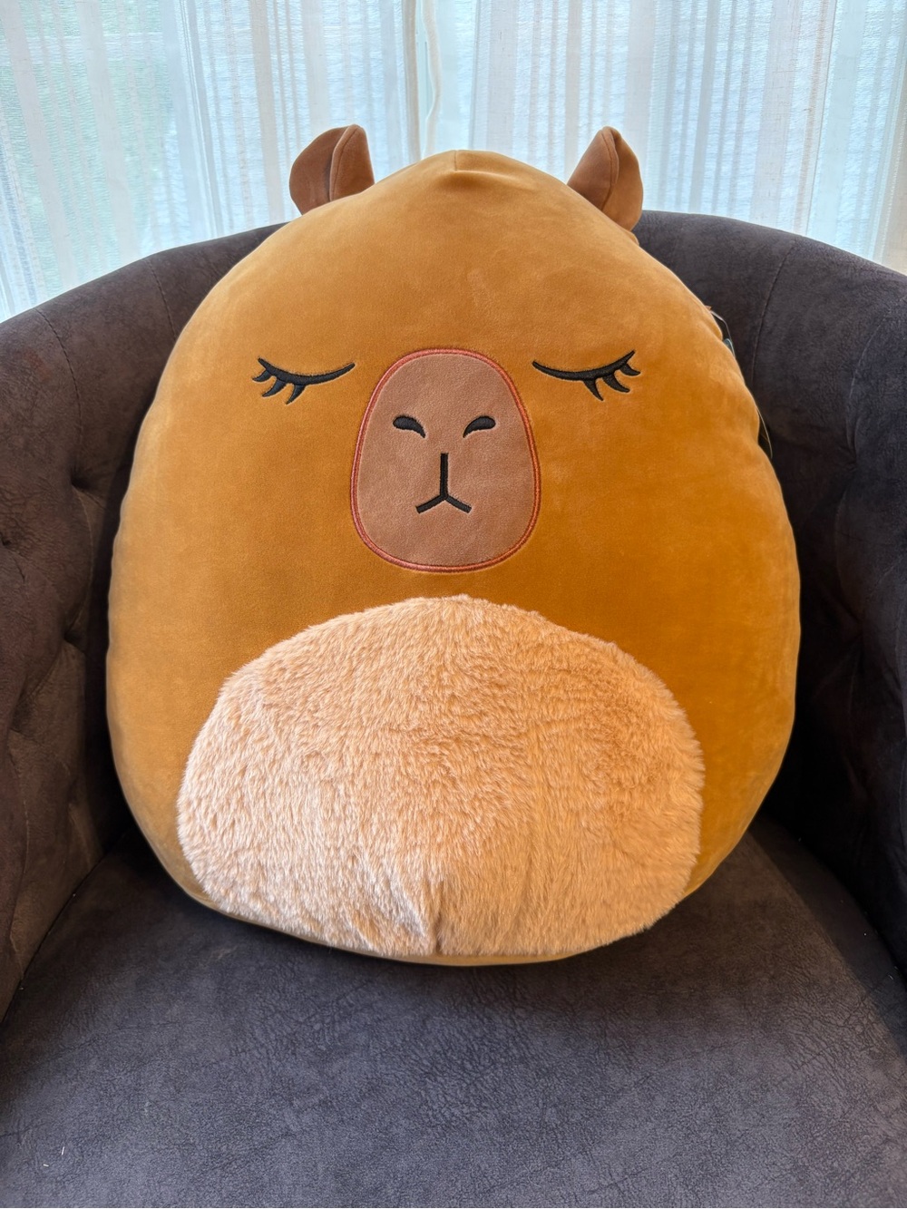 Lijjian the Capybara Squishmallow “18